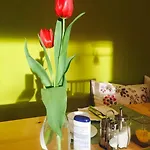 Aparthotel Apartmenthaus Sonnen 3*