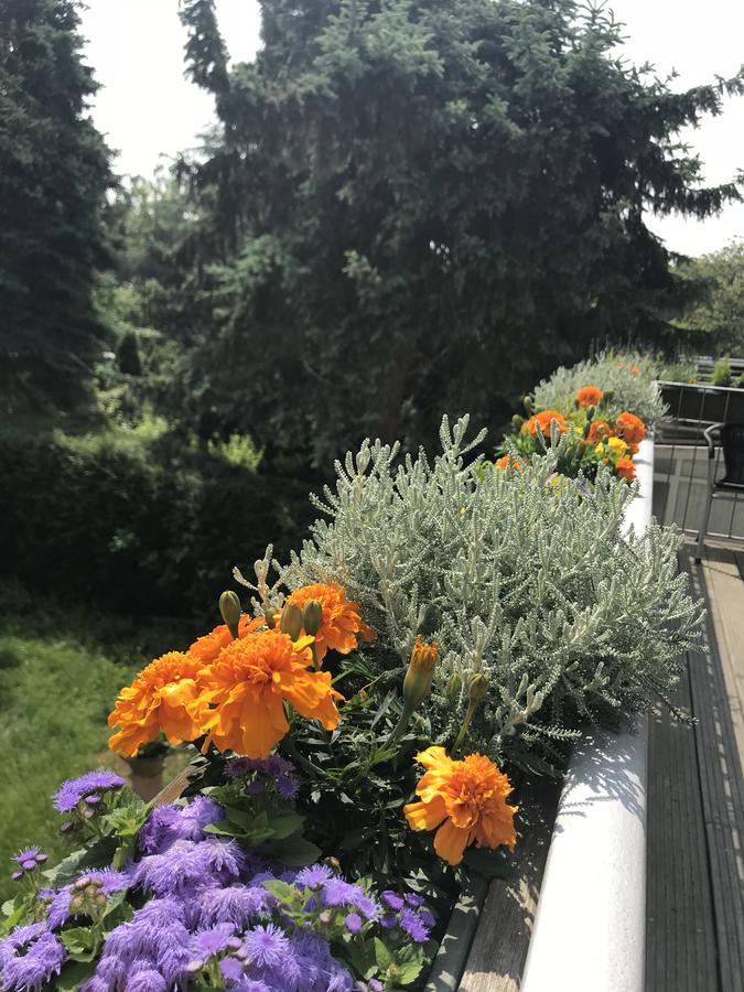 Apartmenthaus Sonnen Aparthotel