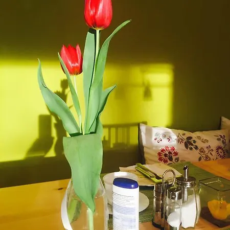 Aparthotel Apartmenthaus Sonnen 3*
